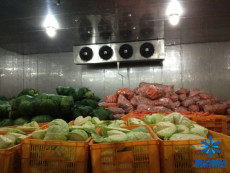 蔬菜为什么要放在保鲜冷库中储藏