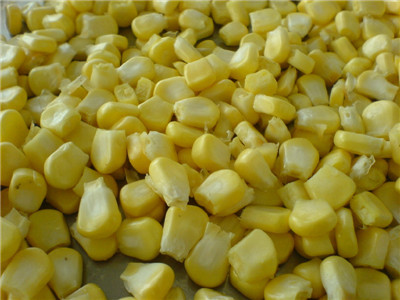 鲜甜玉米脱粒机 广州脱玉米脱粒机，脱玉米