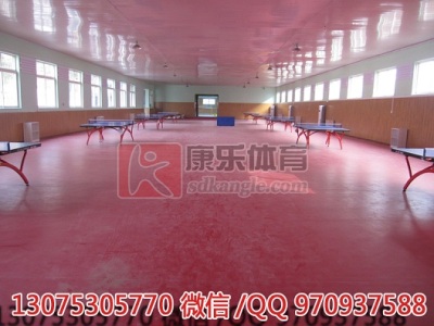 濟(jì)南塑膠地板羽毛球塑膠地板乒乓球地膠