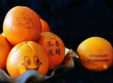 山西苹果印字机水果印刷机橙子桃子梨印字机