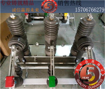 上海 ZW32-12/630真空断路器 10KV保护开关