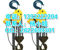 环链电动葫芦价格/环链电动葫芦报价/环链电
