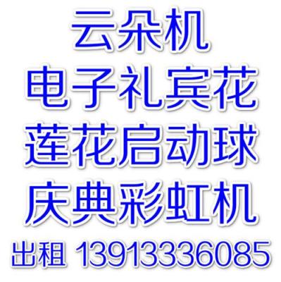 南京电子礼宾花出租 庆典礼宾花 礼宾花租赁