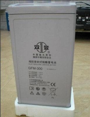 内蒙古双登蓄电池GFM-300代理商