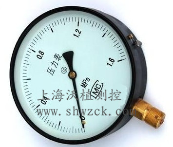 上海沃植YN100耐震压力表供应