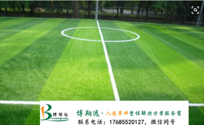 武城學校人造足球場草坪建設(shè)方案