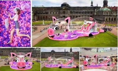 出租粉红猪气模北京订制新款粉红猪海洋球乐