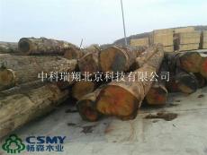 畅森体育运动地板厂家砍伐的木材由俄罗斯而