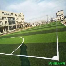 宜宾长宁县足球场塑胶人造草坪环保厂家施工