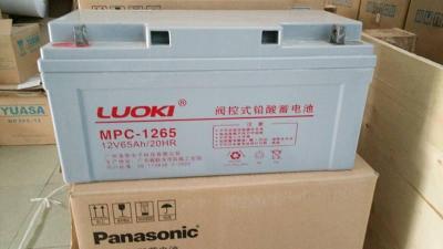 LUOKIMPC-12200/12V200AH蓄电池现货批发