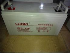 LUOKIMPC-1224/12V24AH蓄電池機(jī)柜專用