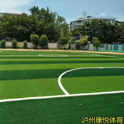 自贡塑胶假草坪厂家内江足球场人造草坪施工