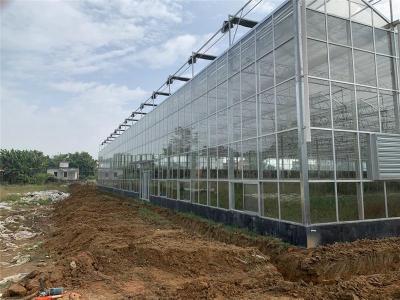 四川成都农业生态园玻璃温室阳光房承建厂家
