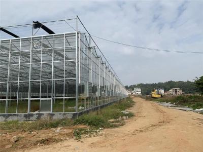 四川泸州高科技蔬菜玻璃温室大棚1万平造价