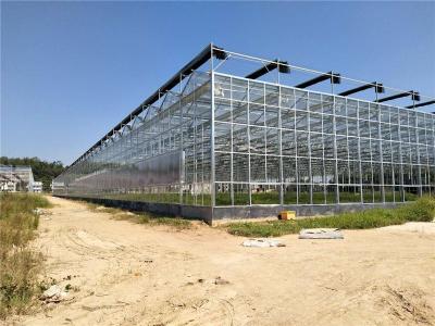 安徽合肥无公害蔬菜大棚玻璃温室8000平方案