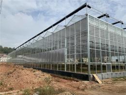 安徽全自动有机蔬菜大棚温室种植园建造厂家
