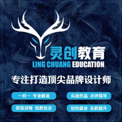 廉江灵创教育是针对设计培训的中心