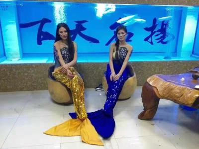 美人鱼海狮表演租赁 广州海洋生物展览出租