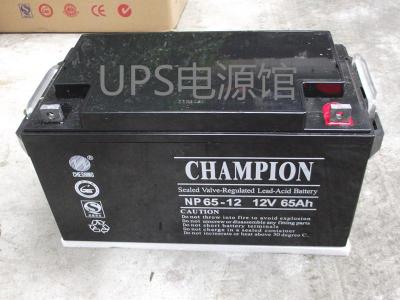 冠军蓄电池 NP24-12蓄电池12V24AH尺寸
