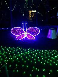 陕西西安梦幻灯光节LED造型灯厂家