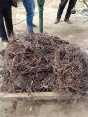 莎车县回收废电缆高价回收