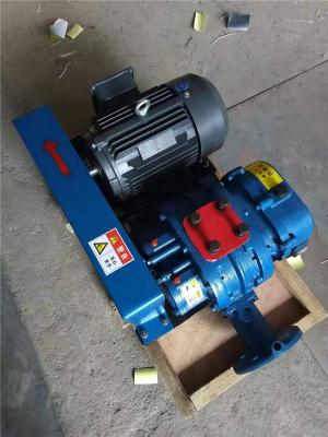 宣成LSR-100沼氣輸送防爆羅茨風機