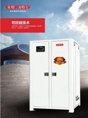 电采暖炉  家用电采暖炉  河北安特科技