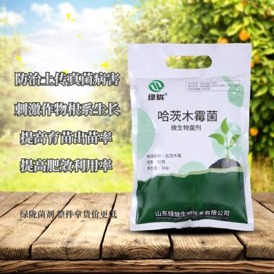 哈茨木霉菌 根腐病叶斑病白粉病土传害克星