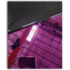 304不锈钢板材    镜面紫红色不锈钢装饰板