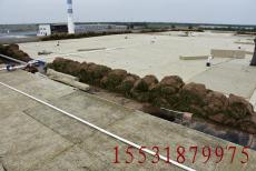 武威市海绵城市建设用衡泰多孔纤维棉花卉种