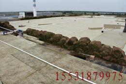 武威市海绵城市建设用衡泰多孔纤维棉花卉种