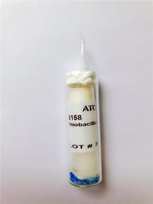 百欧博伟生物 ATCC 10241胚牙乳杆菌
