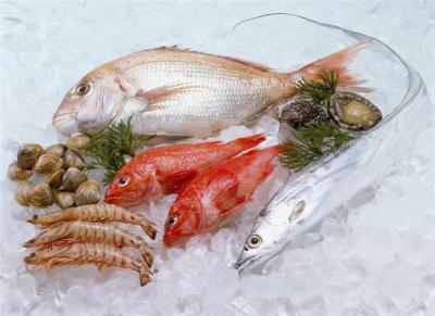 广州冷冻鱼进口如何报关报关需要多久