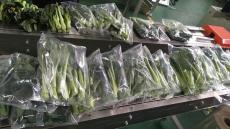 伺服蔬菜自动包装机新鲜蔬菜枕式套袋机