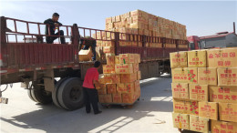 哪里销售新疆红枣价格优惠