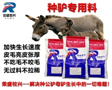 繁殖驴专用饲料北京荣盛牧兴种驴预混料