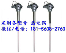 热电阻传感器wre2-430c济宁