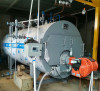 水泥制品烘干 养护 燃气蒸汽锅炉 蒸发器