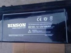 厂家代理滨松Binson蓄电池价格参数