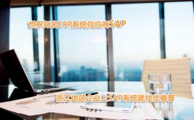 浙江绍兴SAP代理商 绍兴SAP咨询公司 选择优