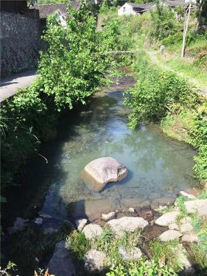 小区草坪音箱 公园小区防水防真音箱喇叭