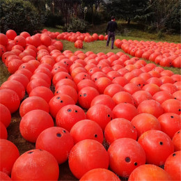 柏泰厂家直销50公分塑料浮标浮球 警示浮体
