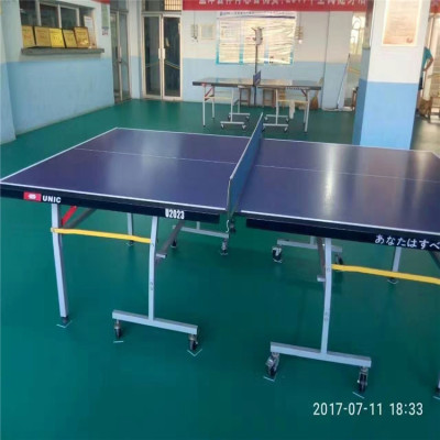 乒乓球厅地胶 塑胶运动地板
