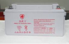 金武士 PV200-12-YA蓄电池免维护通用