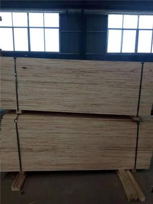 全楊木順向板lvl免熏蒸木條加工定制