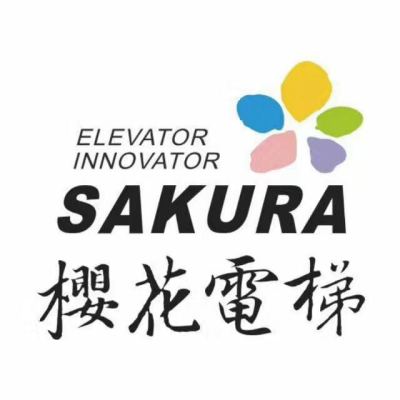 湖南别墅电梯品牌长沙商业电梯安装威宇科技