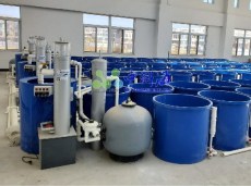 水生物循环水实验系统设备