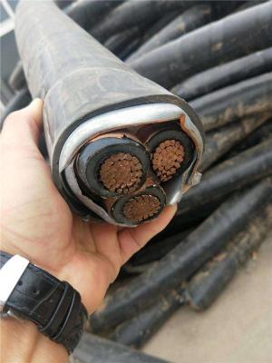 大连电缆回收 大连工程电缆回收成交价
