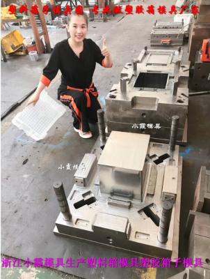浙江注射模具生產廠家蔬菜筐塑料模具廠家直