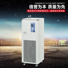 DX-2015低温循环机的价格/低温循环机的厂家